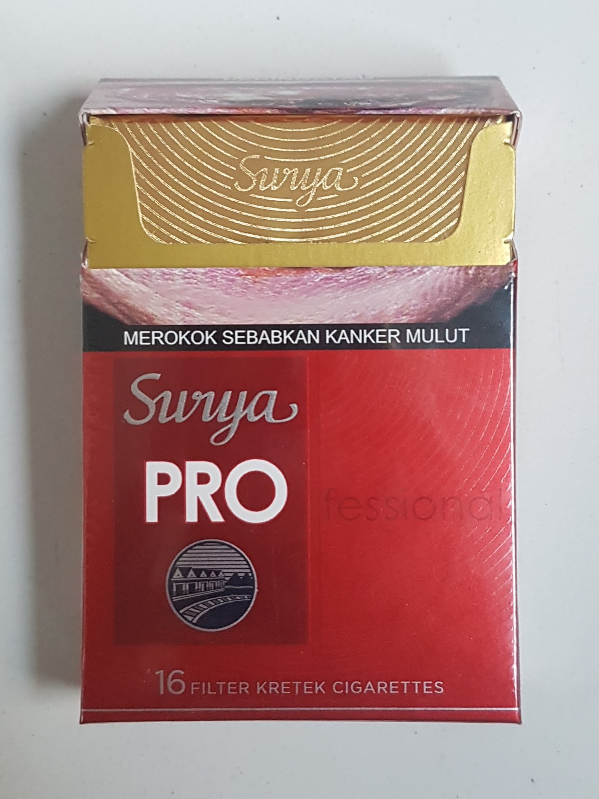 Gudang Garam Professional